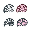 Set of nautilus shells icons. Vector illustration.