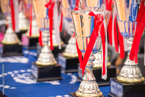 Fotografie, Tablou Pedestal with cups and prizes in anticipation of the winners.