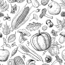 Harvest Products Seamless Pattern. Hand Drawn Vintage Vector Background With Pumpkin, Apple, Corn, Wheat, Muchroom.
