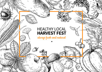 Wall Mural - Harvest festival. Hand drawn vintage vector frame illustration with vegetables, fruits, leaves.