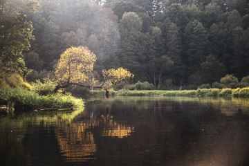 Trees on the shore of a beautiful autumn river.