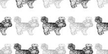 Seamless Pattern With Cute Puppies Of Yorkshire Terrier.