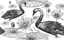 Swans And Water Lily. Seamless Pattern