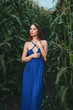© Денис Кипкаев - Young beautiful woman stands in a dress among ripe corn. Agroculture.