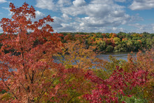 Fall Scene Of Colorful Orange, Red, Yellow, And Green Trees Seen From Above The Mississippi River In St Paul Minnesota