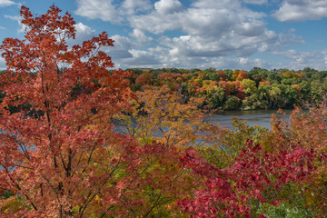 Fall scene of colorful orange, red, yellow, and green trees seen from above the Mississippi River in St Paul Minnesota