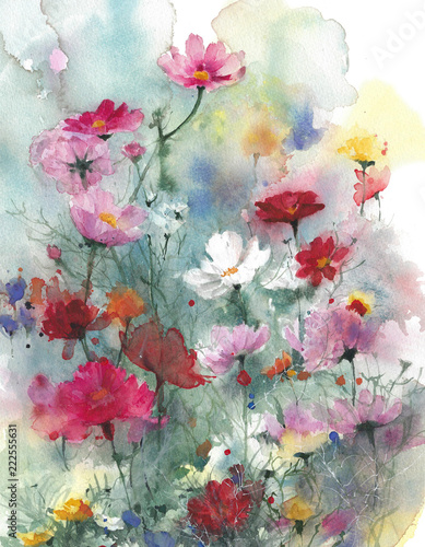 Dekoracja na wymiar  polne-kwiaty-lato-kolorowe-kwiaty-akwarela-malarstwo-ilustracja-na-bialym-bac