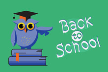 Smart Owl And Back To School Hand-drawn Lettering