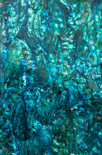 Iridescent Blue And Green Paua, Abalone, Shell Pattern.