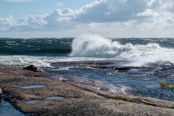 Wall Mural - waves on the beach