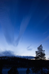Wall Mural - twilight winter landscape. stars appear in the sky.