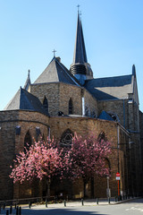 The back side of Saint Cross Church (Eglise de la Sainte-Croix) with pink blossoming trees in Flagey, Brussels Belgium