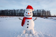 © Ivan Kmit - Funny snowman in stylish hat and red scalf on snowy field. Merry Christmass and happy New Year!