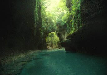 art photo. fairy backgroud. green wild virgin nature. journey to georgia, travelling to martvili can