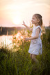 © goodmoments - Portrait of adorable girl on a summer meadow. Child walking a sunny summer day with a flower in his hand. Sunset in the park. Outdoors. Vacations.