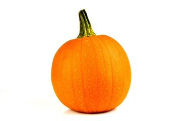 orange pumpkin isolated on a white background