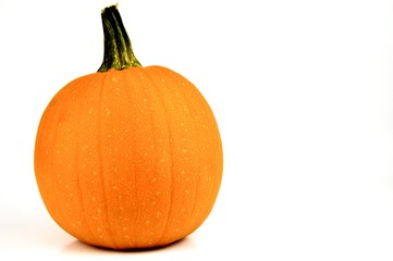 orange pumpkin isolated on a white background with copy space