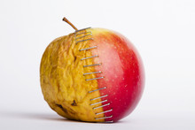 Fresh Red And Old Yellow Apple Halves With Staples On White Background, Plastic Surgery  Metaphor