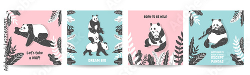 Foto  Cute Panda bear illustrations, Collection of Simple style Posters, Covers, Birth
