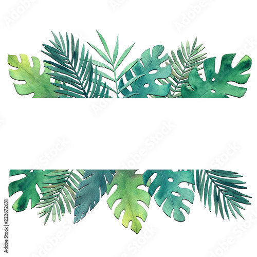 Exotic tropical palm tree. Frame border background. Summer hand drawn illustr...