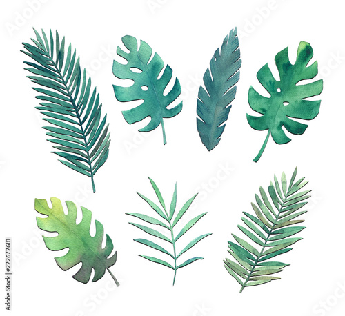 Watercolor leaves set. Hand drawn illustration. Isolated image