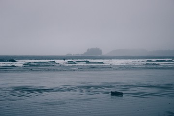 Wall Mural - surfers in the fog