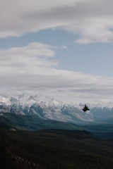 Wall Mural - aerial view of the mountains