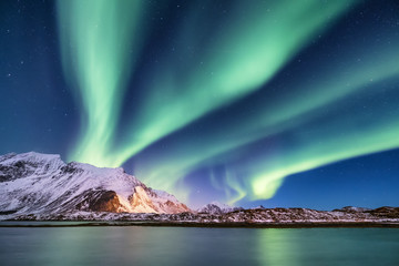 Wall Mural - aurora borealis on the lofoten islands, norway. green northern lights above mountains. night sky wit