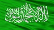 Hamas Flag Closeup View, 3D Rendering