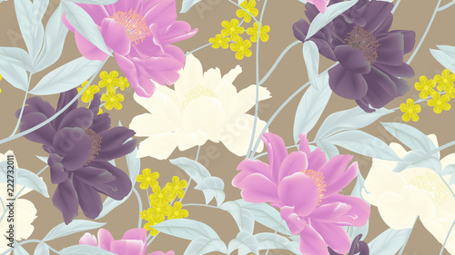 Botanical seamless pattern, pink, purple and white paenia lactiflora flowers ...