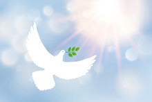 White Dove Carrying Leaf Branch And International Day Of Peace. World Water Day. Vector Image, Sun, Sun Rays And Blue Blurred Defocused Background With Bokeh Ligth.