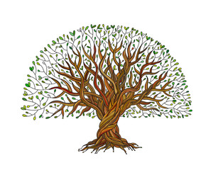 Wall Mural - Big tree with roots for your design