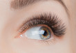 © Parilov - Macro photo woman with long lashes in beauty salon. Concept eyelash extension procedure.