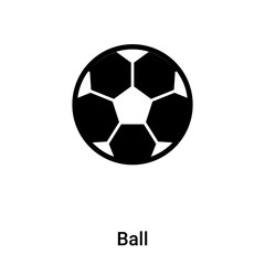 Ball icon vector isolated on white background, logo concept of Ball sign on transparent background, black filled symbol