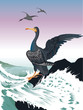 cormoran se séchant les ailes