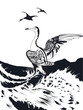 cormoran séchant ses ailes en noir et blanc