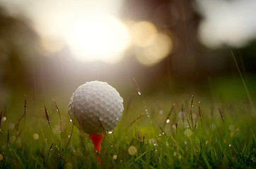 Wall Mural - Golf ball with warm sunlight and raining at sunset