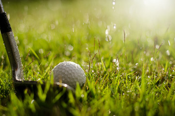 Wall Mural - Golf clubs and golf balls are wet with warm light rain at sunset