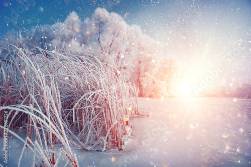Beautiful Winter Landscape Scene Background With Snow Covered Trees And Iced River Beauty Sunny Winter Backdrop Wonderland Frosty Trees In Snowy Forest Buy This Stock Photo And Explore Similar Images At Beautiful Winter Landscape Scene Background With Snow Covered Trees And Iced River Beauty Sunny Winter Backdrop Wonderland Frosty Trees In Snowy Forest Buy This Stock Photo And Explore Similar Images At