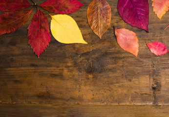 Autumn leafs background on natural wooden board