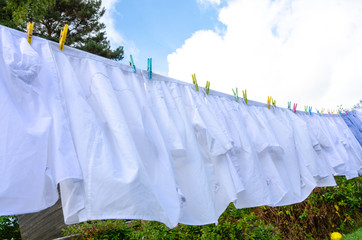 Wall Mural - White shirts hanging outside on a washing line to dry.