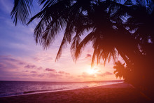 Beautiful Tropical Beach With Palm Trees. Sunrises And Sunsets. Ocean
