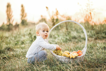 Wall Mural - Pretty little baby boy have fun outdoor