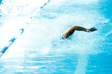 Sticker - Image of man swimming in style of crawl in swimming pool