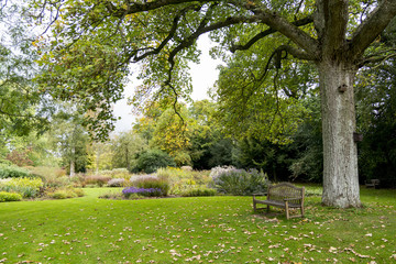 Wall Mural - Bressingham Gardens - west of Diss in Norfolk, England - United Kingdom