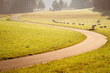 Wall Mural - Road Cycling in the meadow