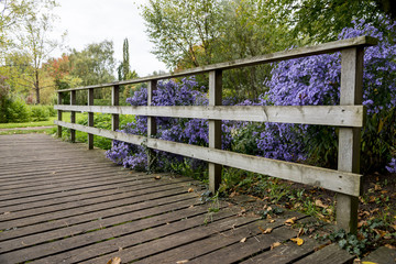 Wall Mural - Bressingham Gardens - west of Diss in Norfolk, England - United Kingdom