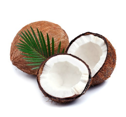 Wall Mural - Coconuts on a white background