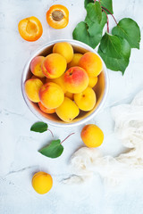 Poster - apricots