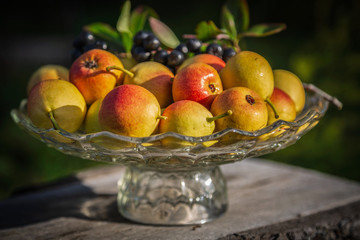 Wall Mural - Still life with pears